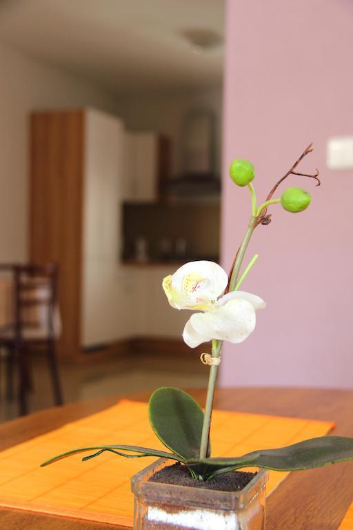 Vila Dravce Стая снимка